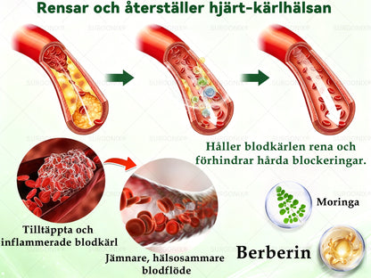 𝑶𝒇𝒇𝒊𝒄𝒊𝒆𝒍𝒍 𝑩𝒖𝒕𝒊𝒌 |🇸🇪𝖲𝗎𝗋g𝗈ᴎɪx® 📊𝑴𝒐𝒓𝒊𝒏𝒈𝒂 & 𝑩𝒆𝒓𝒃𝒆𝒓𝒊𝒏 𝟏𝟎-𝑰𝑵-𝟏 𝑨𝒗𝒂𝒏𝒄𝒆𝒓𝒂𝒅 𝑵𝒂𝒏𝒐-𝑴𝒊𝒌𝒓𝒐𝒏å𝒍𝒔𝒑𝒍å𝒔𝒕𝒆𝒓 （𝐄𝐧 𝐠å𝐧𝐠 𝐝𝐚𝐠𝐥𝐢𝐠𝐞𝐧, 𝐬𝐲𝐧𝐥𝐢𝐠𝐚 𝐟ö𝐫ä𝐧𝐝𝐫𝐢𝐧𝐠𝐚𝐫 𝐢𝐧𝐨𝐦 𝟕 𝐝𝐚𝐠𝐚𝐫）